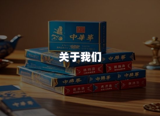 专业团队